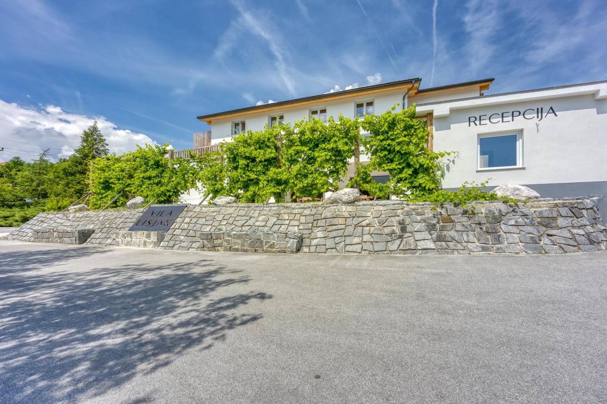 Vila Lisjak - Apartments Podcetrtek Exterior photo